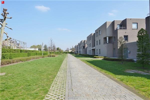 Ruim appartement met 2 terrassen en garage