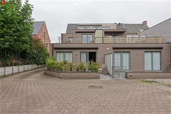 Gelijkvloers appartement met terras te huur in Zingem