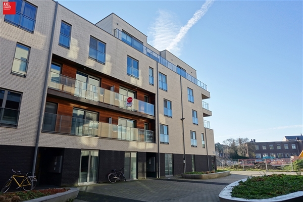 Penthouse gelegen aan de Schelde te huur in Gent