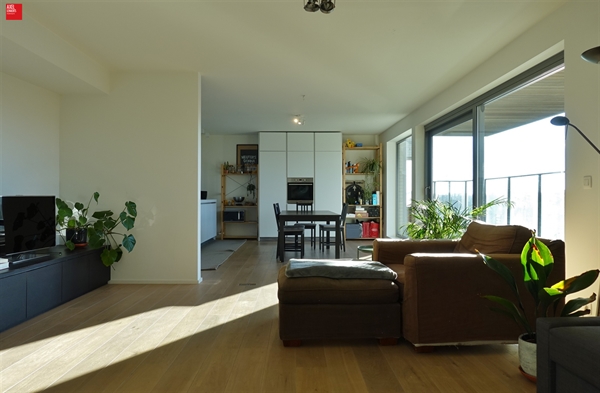 Penthouse gelegen aan de Schelde te huur in Gent