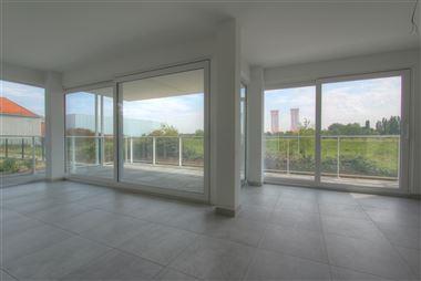 Rupelzicht : Luxueus en aangenaam wonen in een groene omgeving of aan het het water....