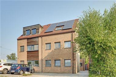 Ruime instapklare gezinswoning met 5 slpks op een perceel van 610m², op wandelafstand van de Kalmthoutse Heide. EPC: 154 kWh/m² (vg, wg, gmo, gvkr, ...