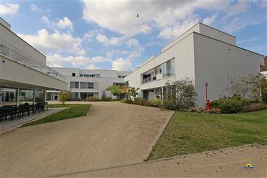 De perfecte combinatie van rustig en zelfstandig wonen met indien gewenst de nodige assistentie of sociale interactie.
Deze serviceflat, gesitueerd i...